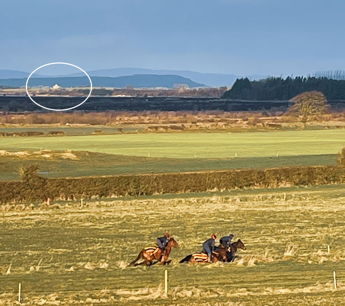 EdwardJOGrady's tweet photo. Glorious view from the gallops this morning. In the distance, bathed in spring sunshine, is the Gobán Saor monastic site where Mick Webb uncovered the Derrynaflan Chalice in 1980.

https://t.co/ReAKpaOf7f https://t.co/aU93Odq0PG
