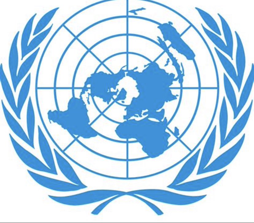 carolaperez's tweet photo. El próximo 17 de marzo compareceré ante la ONU para hablar sobre la situación actual de los pacientes en representación del consejo internacional de pacientes de IACM.

Un honor y una responsabilidad brutal. 🙏🏻

@IACM_Bulletin https://t.co/eQqaJEVeiD