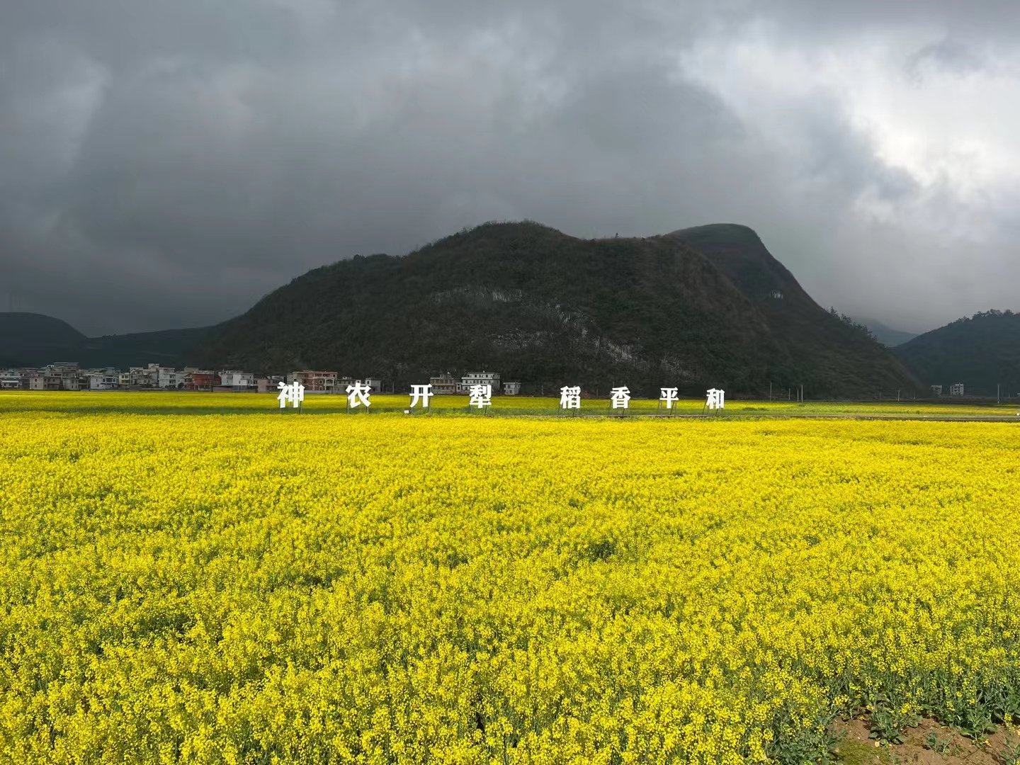 Tiantianxiao 互fo 春光 春天里来百花香 郴州宜章平和油菜花开了 Chenzhou Spring T Co 9qvqfeihad Twitter
