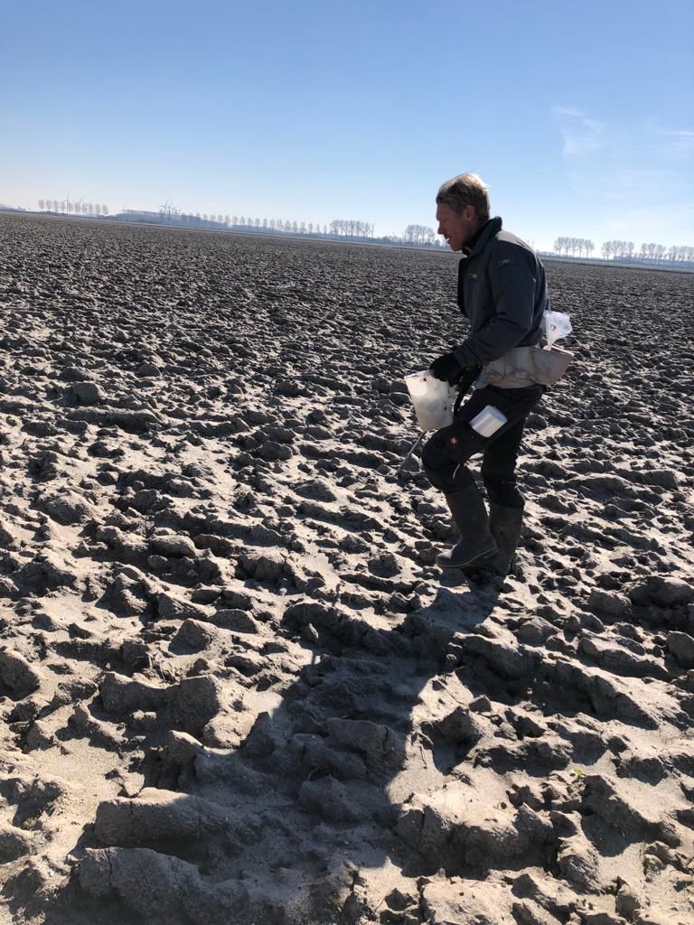 𝐇𝐞𝐭 𝐭𝐞𝐤𝐞𝐧 𝐯𝐨𝐨𝐫 𝐞𝐞𝐧 𝐧𝐢𝐞𝐮𝐰 𝐬𝐞𝐢𝐳𝐨𝐞𝐧 | Een jaarlijks terugkerend teken dat het nieuwe seizoen weer voor de deur staat is de grondbemonstering voor Indonesië. HLB en NemaControl controleren in Zeeland en Flevoland de percelen. #weloveonions #onions #uien