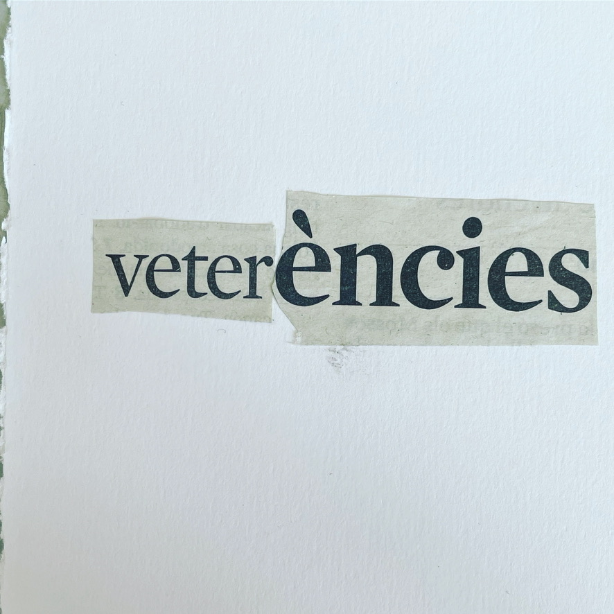 interstice_eu's tweet image. Entrepensar
El 9 març @rosallop utilitzarà aquesta metodologia de recerca generativa per explorar les polítiques del temps i compartir-ho amb l'alumnat d'@EducacioUAB, perquè puguin replicar-lo en el seu dia dia. Un dels outputs d'#INTERSTICE @GrupoEDO  #ERIFE
#artthinking