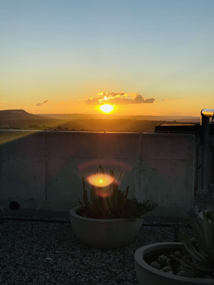 djtino_'s tweet image. 🌞 D A Y  S N A P S 🎶 
#weekenddump #rooftopvibes #sundayfunday