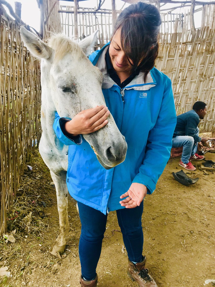 Brooke 🐴🧡 tweet media