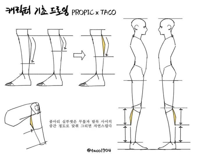 종아리 실루엣은 무릎과 발목 사이의 중간 정도로 맞춰 그리면 자연스럽다 