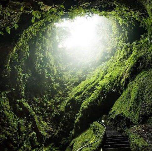 Jorge Carmo tweet media