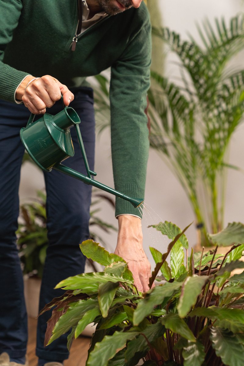 UrbanJungle Bloggers tweet media