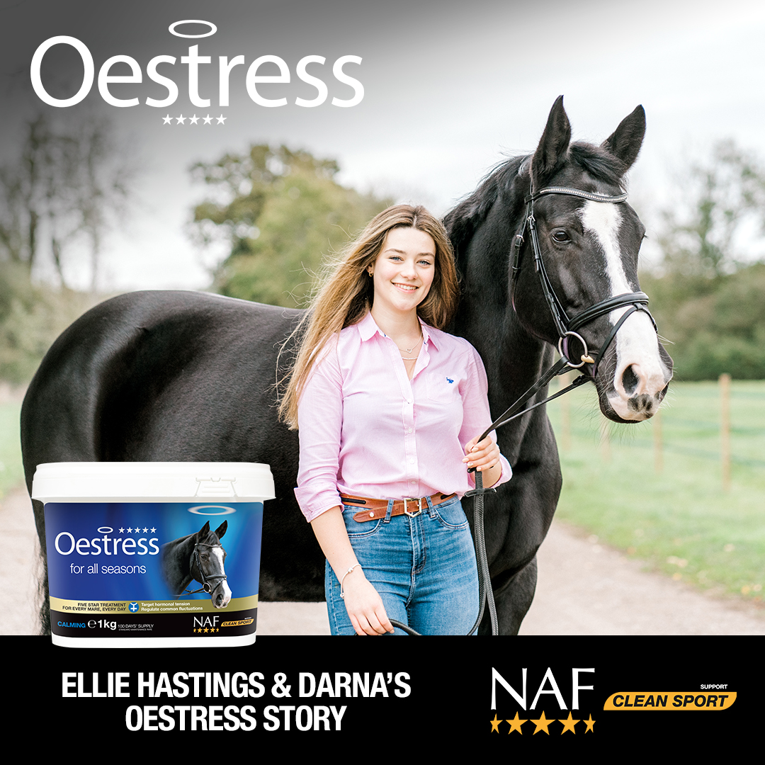 nafuk's tweet photo. Our Oestress Cover Girls recently made their debut on the labels for our Five Star Oestress Liquid and Powder and one of our twelve mares is the lovely Darna who is owned by Ellie Hastings. Check out Darna's story here 👉 https://t.co/4wKZMwwe6x. #FiveStarOestress #Forallseasons https://t.co/EQGabN2P8J