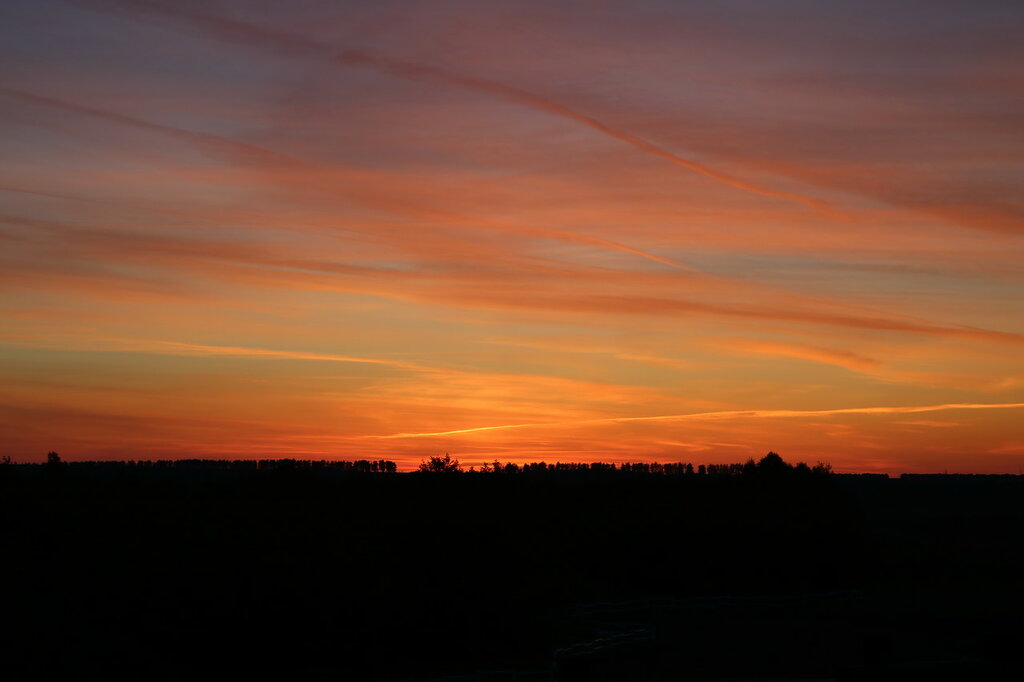 полпути вишневый закат. вишневый закат группа. июльский вечер цветы. бульвар рохас закат фото. Dead inside фото на закате.