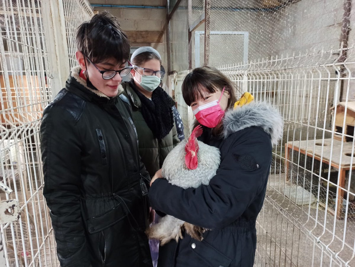EsferaFundacion's tweet photo. Los #adolescentes del Club de Ocio han disfrutado este fin de semana de una escapada rural en Burgos, y entre los planes que han realizado destacan las actividades al #airelibre, la visita a la #granja y las #manualidades
#planrural #ocioadolescentes #ocioinclusivo #ociojuvenil https://t.co/nUOpVsedg4