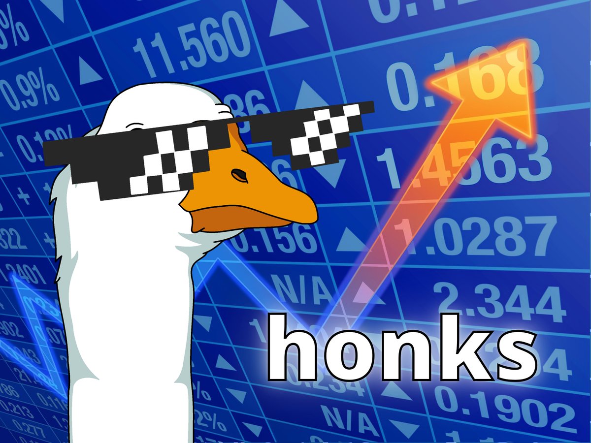 The GOOSE is coming!

HONK with it 😎✨

opensea.io/collection/amu…