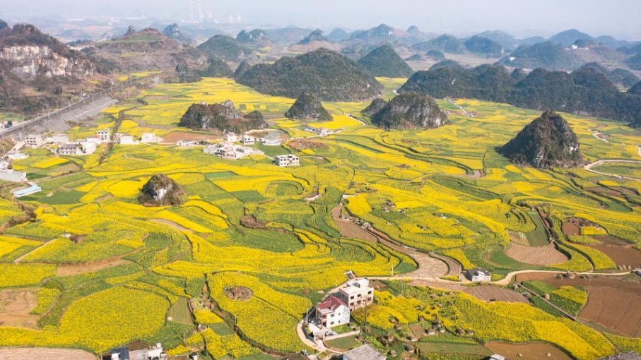 Chineinfocom's tweet photo. #Panorama : #Paysage de #fleurs de colza au #Guizhou

Paysage de fleurs de colza dans le bourg de #Mugang à #Liupanshui, de la province du #Guizhou (sud-ouest).

3 mars 2022

#voyage #tourisme https://t.co/CggSGB7Qev