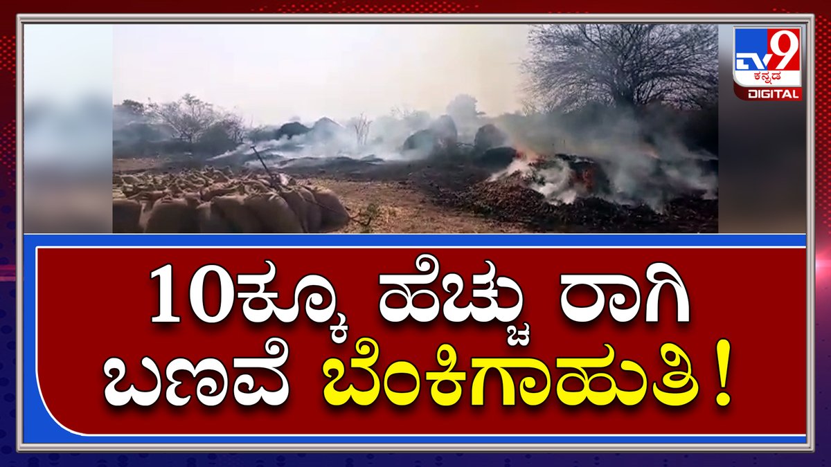 tv9kannada's tweet photo. Fire in Formers land|ಕೈಗೆ ಬಂದ ಬೆಳೆಗೆ ಬಿದ್ದೇ ಬಿಡ್ತು ಬೆಂಕಿ-ನಿರಾಸೆಯಲ್ಲಿ ಅನ್ನದಾತ | TV9 Kannada
Video Link►https://t.co/JtVOFBcFGy
#TV9Kannada #KarnatakaDavanagere #FireOnMilletStack #TheAccidentalFire #Fire #Former #Suffring #KannadaNews #BreakingNews #LatestNews #Tv9Digital https://t.co/9LnsqKnJJu