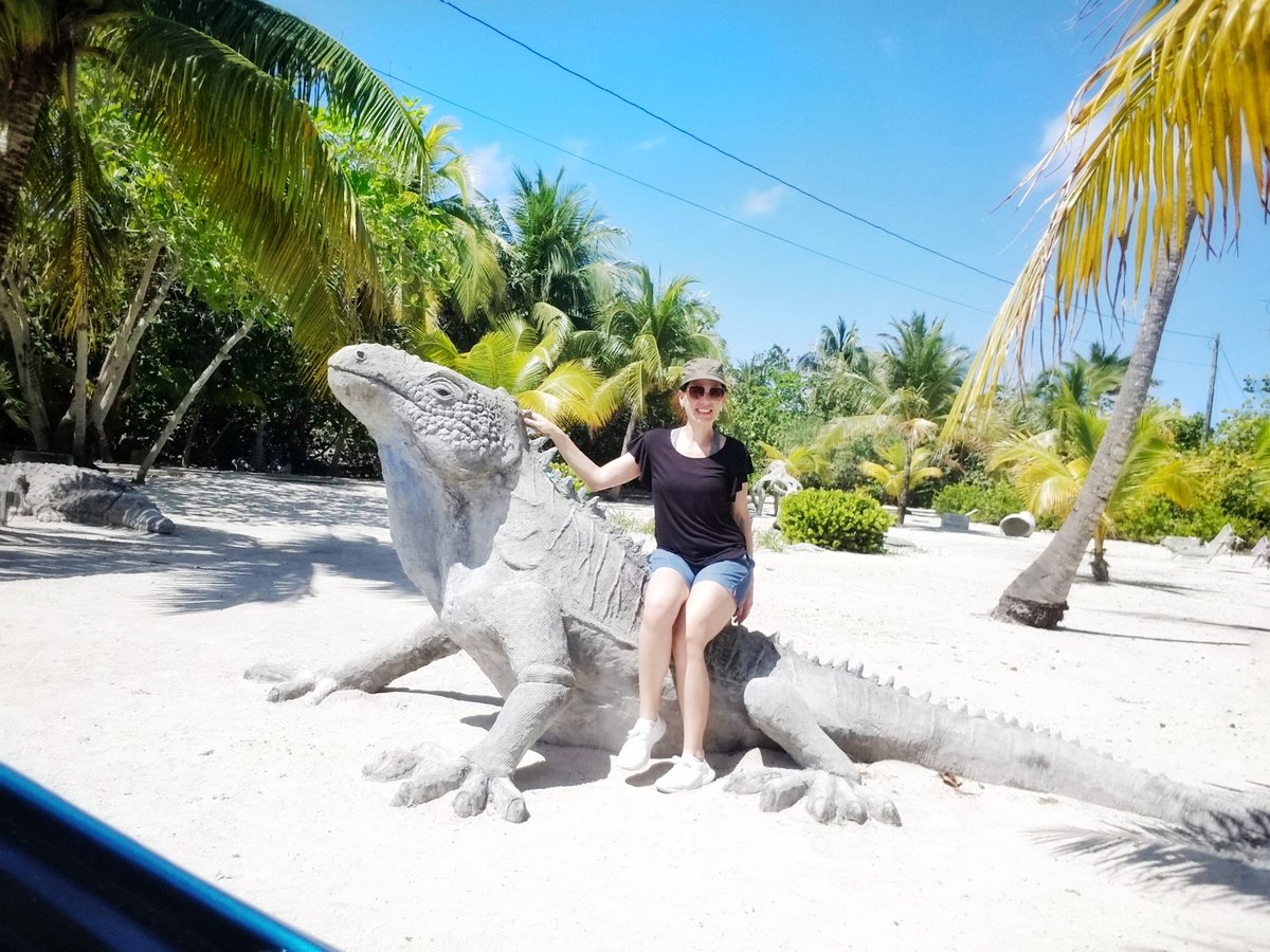 andylagb's tweet photo. NUEVO VIDEO en el Canal de YouTube!
https://t.co/sM0EsBXpTq
#elmapadeandrea #islascayman #youtube #viajes #travel https://t.co/iSu4anADKP