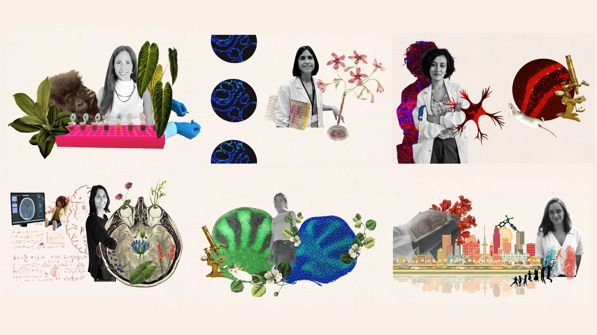 the_prbb's tweet photo. On the ocasion of the International Women's Day, the #PRBB opens the exhibition ‘Science portraits: a female perspective‘
📆 March 8-25 
📍 PRBB lobby
#IWD2022 #PRBBDiversity
cc @mae_minaa @tereloboj @nosoyunbicho @natvilortejedor @JuneJuyeon @aliceabellan
https://t.co/QiUd2G96Qy https://t.co/tZdGJKiGCL