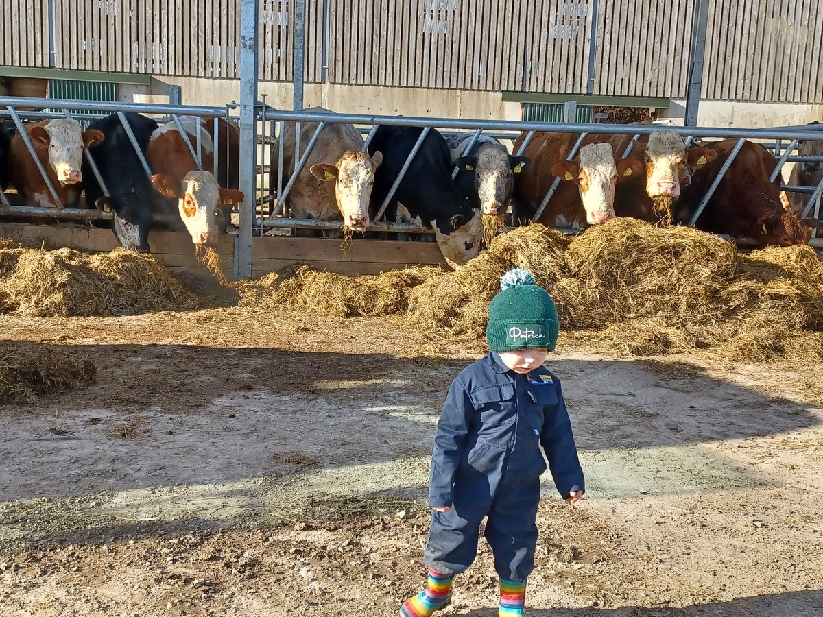 colmstenson's tweet photo. Young farmer delighted to be "helping" on a lovely spring day at the weekend. Think he prefers machinery!!! #springtime #Leitrim #FatherAndSon #farming #MachineLearning @irishcharolais #simmentals https://t.co/hScoYYr22Q