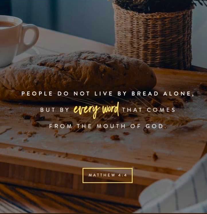 Nicole P. Smith tweet media