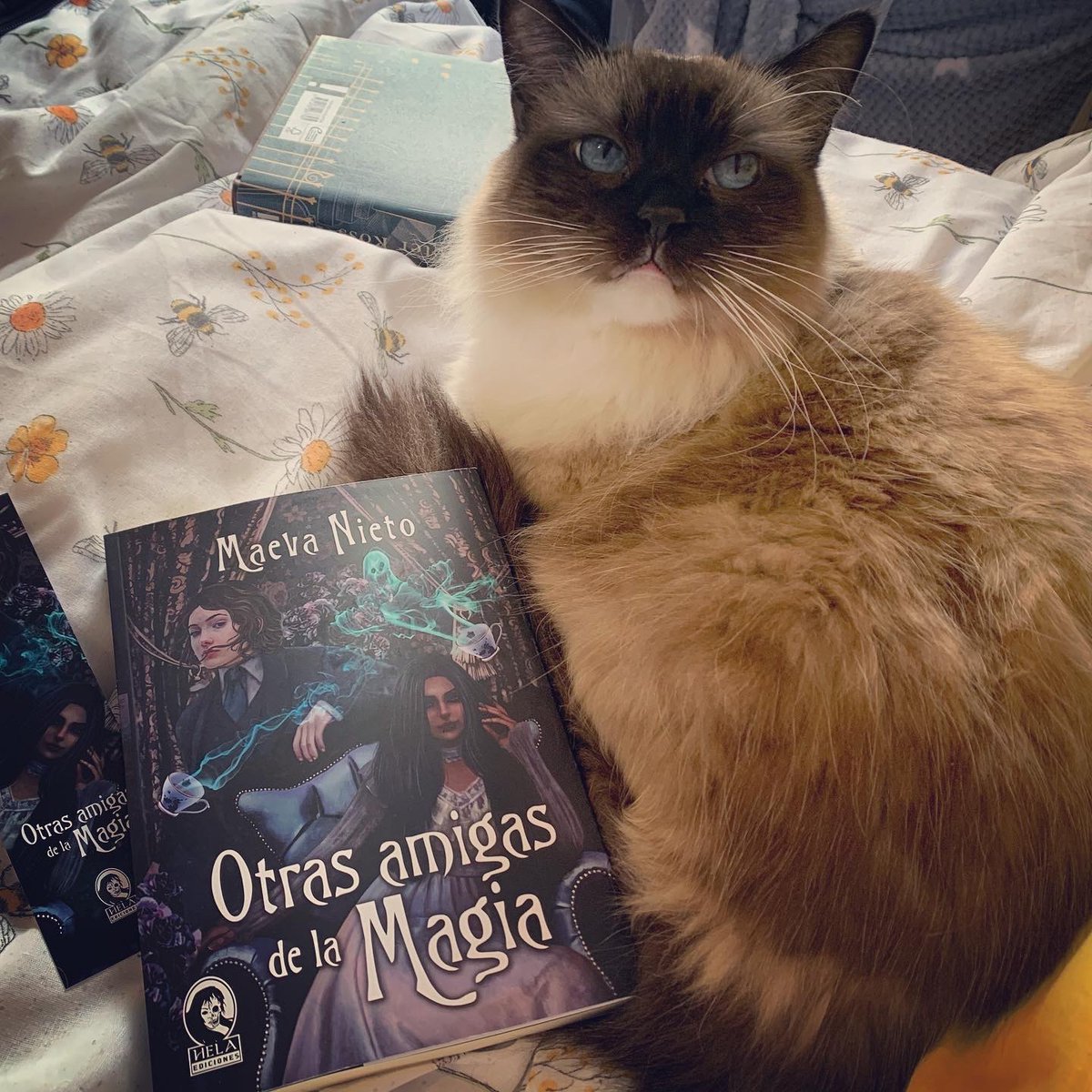 LauraBailo's tweet photo. Las magas de @KimiSurrealist llegaron a su casa en Inglaterra gracias a @HelaEdiciones, y Sophie y yo estamos disfrutando de ellas 😍 https://t.co/ozXN0CfykN