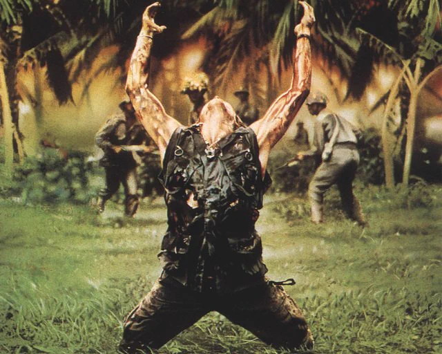 @umuco_digital プラトーン？ 