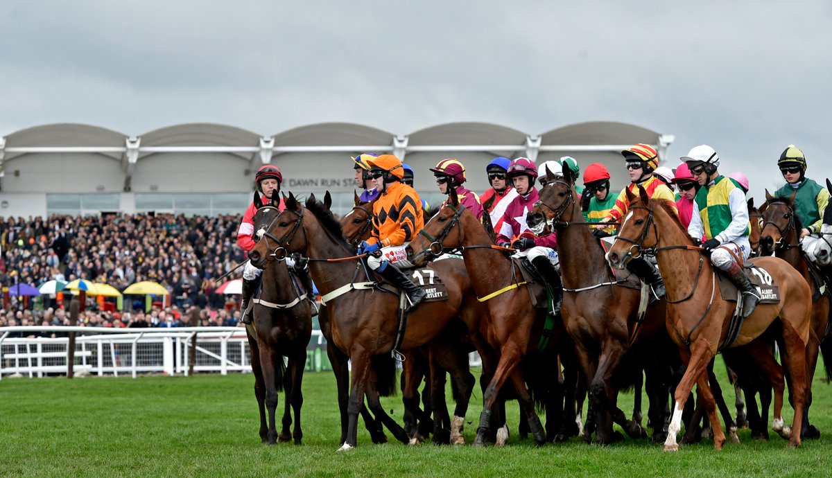 Who is your NAP at the Cheltenham Festival?

Select yours each day in the BIG Cheltenham Festival Game with a prize pot of £10,000. It's FREE to enter ➡️   cloud9sports.co.uk 

#C9S #Cloud9Sports #FantasySports  #HorseRacing #CheltenhamFestival