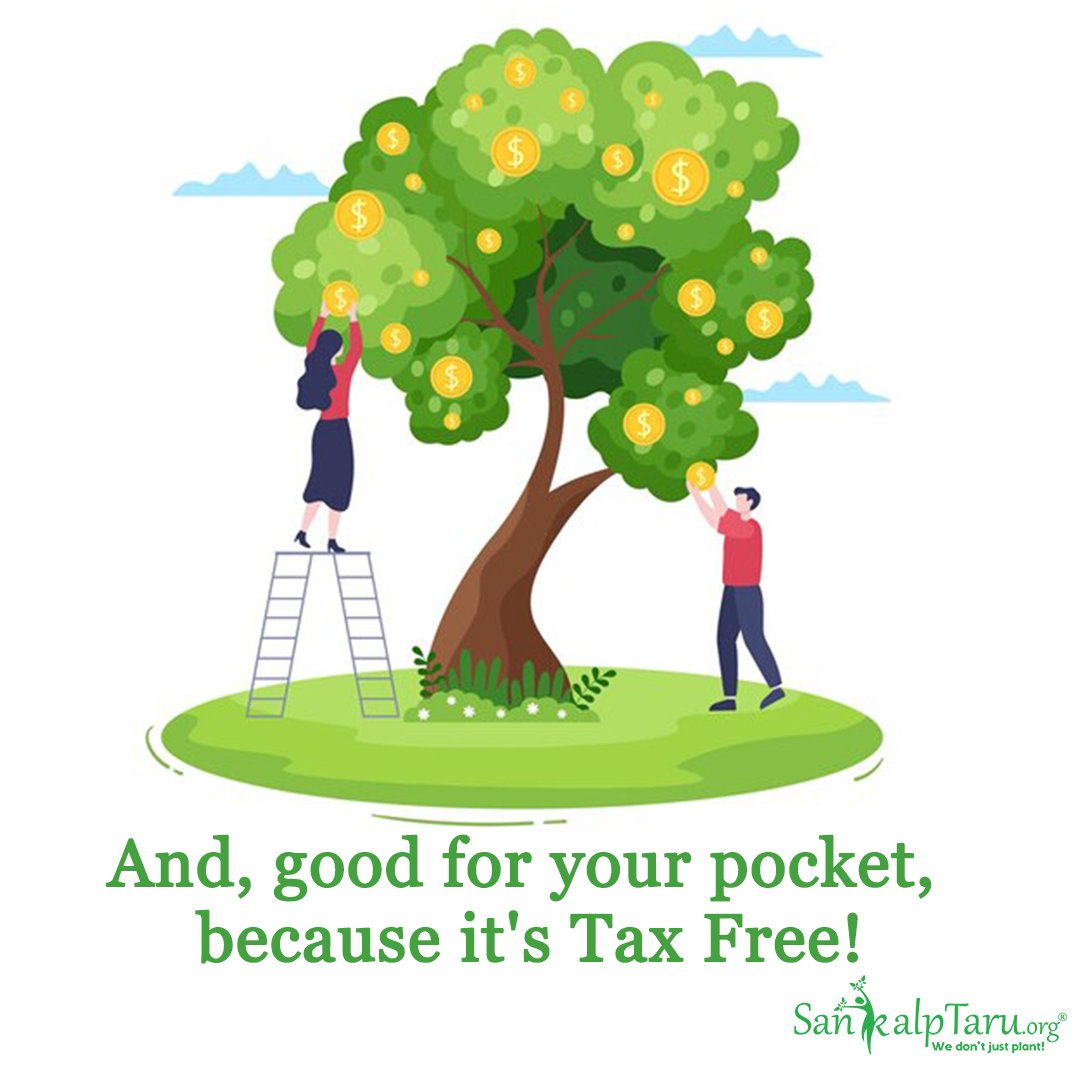 Sankalp_Taru's tweet photo. We are registered under 80G &amp; every tree you plant with us gets you a 50% rebate on the donated amount

Plant, save tax, be a helping hand and the environment: https://t.co/lJSAL4997m
#SankalptaruFoundation #TaxFreeTrees #SaveRealTax #Nature #Environment #VoluntaryTax #CarbonTax https://t.co/ApEZJrSTRZ