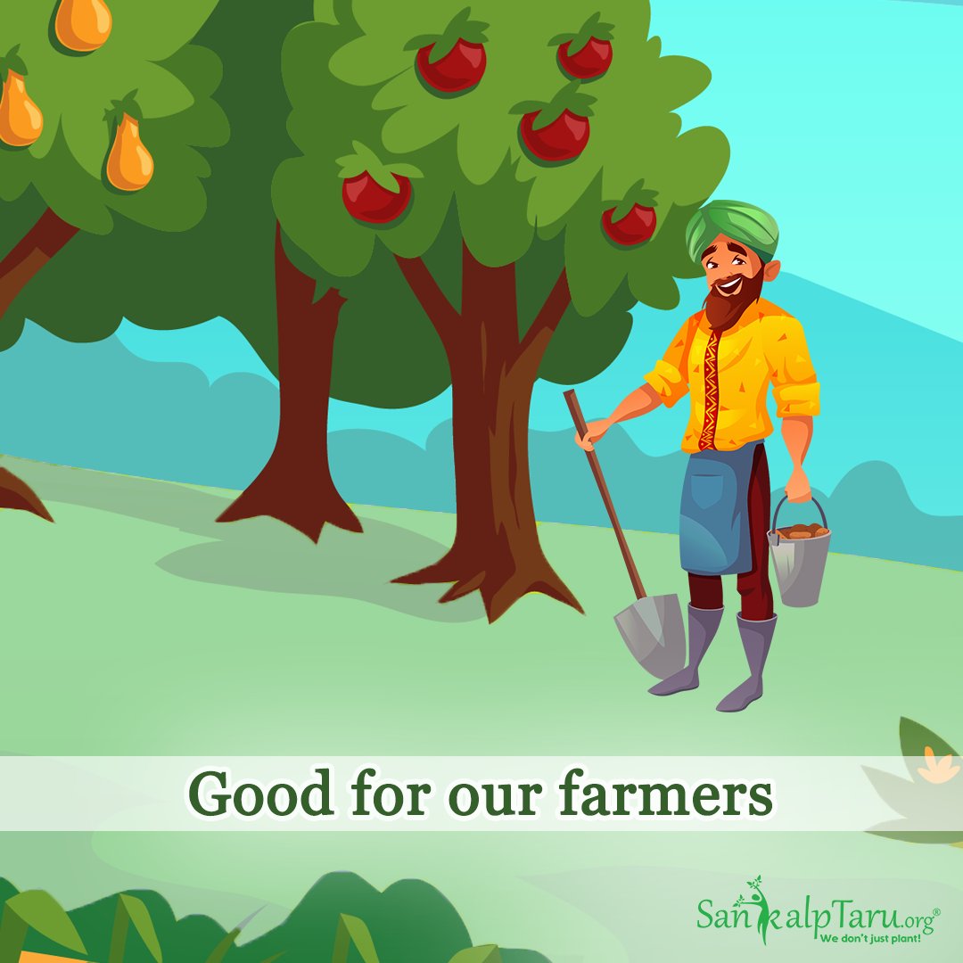 Sankalp_Taru's tweet photo. We are registered under 80G &amp; every tree you plant with us gets you a 50% rebate on the donated amount

Plant, save tax, be a helping hand and the environment: https://t.co/lJSAL4997m
#SankalptaruFoundation #TaxFreeTrees #SaveRealTax #Nature #Environment #VoluntaryTax #CarbonTax https://t.co/ApEZJrSTRZ