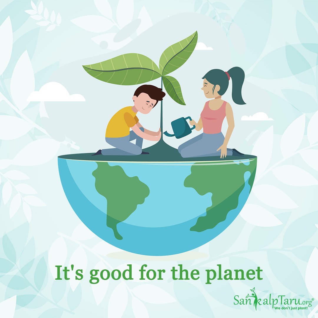 Sankalp_Taru's tweet photo. We are registered under 80G &amp; every tree you plant with us gets you a 50% rebate on the donated amount

Plant, save tax, be a helping hand and the environment: https://t.co/lJSAL4997m
#SankalptaruFoundation #TaxFreeTrees #SaveRealTax #Nature #Environment #VoluntaryTax #CarbonTax https://t.co/ApEZJrSTRZ