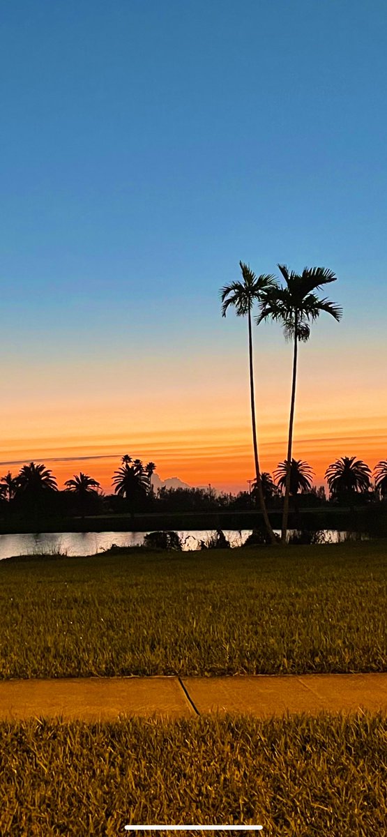 jamilynewriter's tweet photo. Good morning: 

Wishing you a beautiful, peace-filled day.

Sending strength and hugs to anyone that might need them today &amp; a reminder that you are loved. 

my 📸 https://t.co/FR5JMPQS77