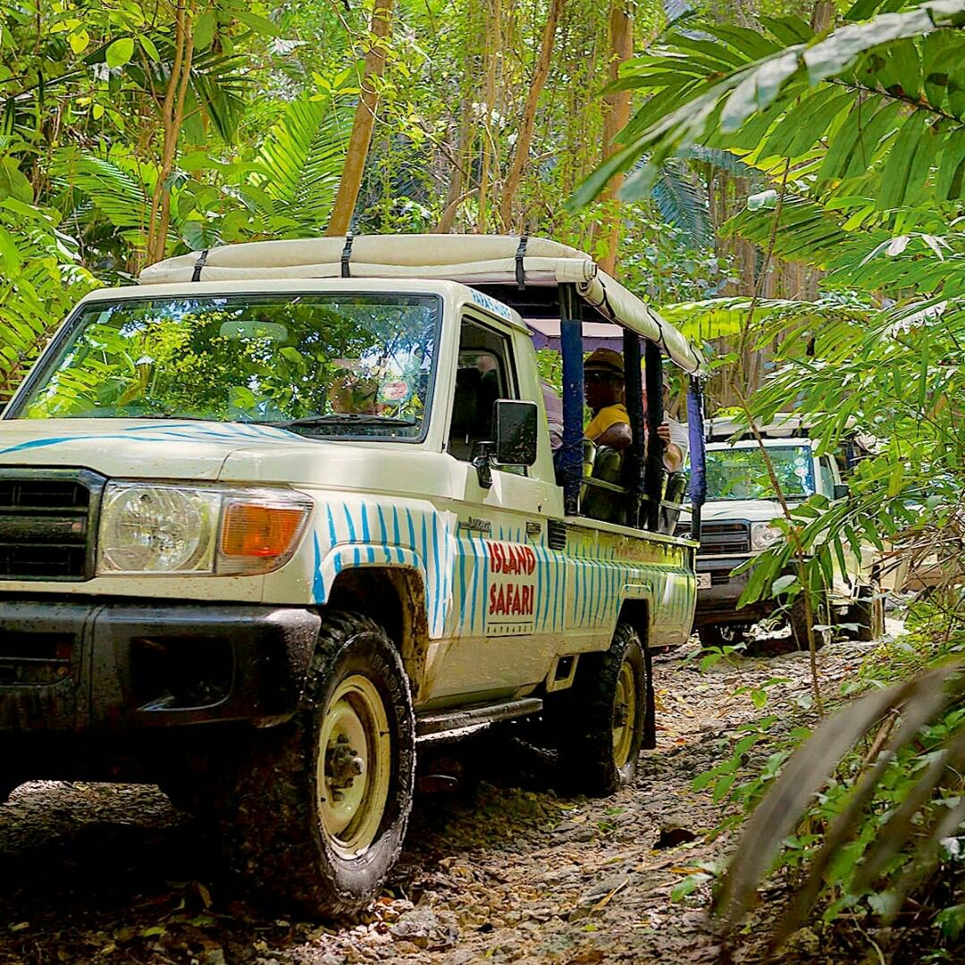 PremierBarbados's tweet photo. How will you Island Safari in #Barbados?
- Discovery: Shared (4-hr) US $65
- Adventure: Shared (6½-hr) inclusive of lunch &amp; drinks US $97
- Private: Perfect for family and friends (3, 4 or 6-hr), starting at US $ 347

Book via https://t.co/C5r0tN2wzo OR Whatsapp (246) 266-0182 https://t.co/DtN0CSGl5Q