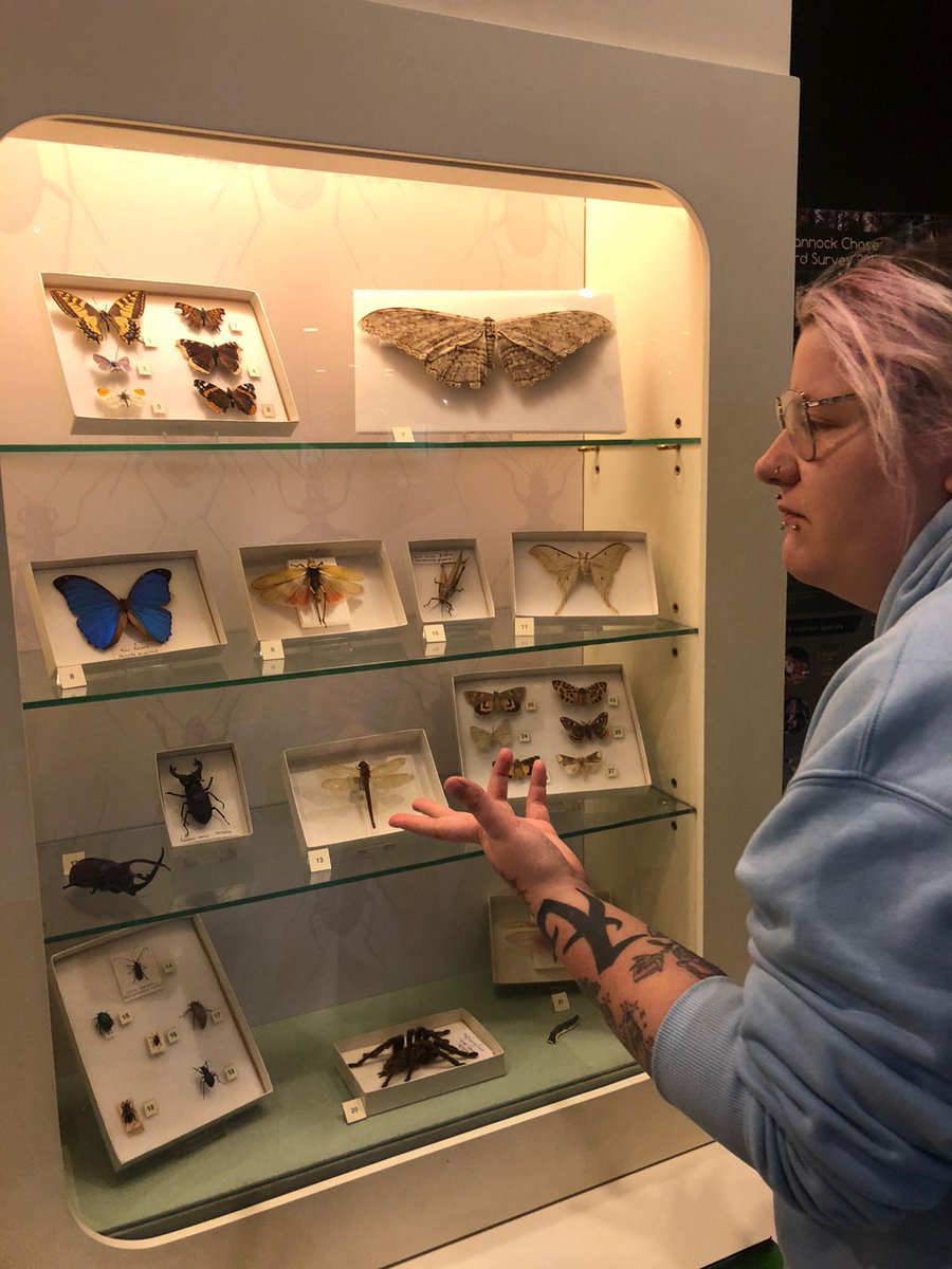 ymcans's tweet photo. Last week, young people visited the Potteries Museum &amp; Art Gallery to learn about the Staffordshire hoard Exhibition!📜

What is your favourite part of the exhibition..👀

#YMCA https://t.co/8JSHsIhJLV