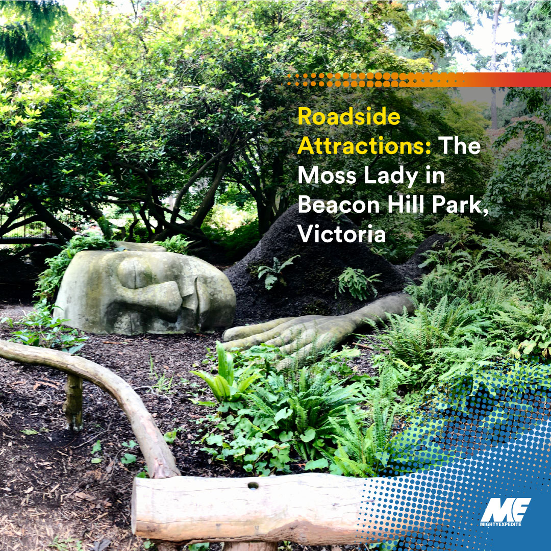 Looking for calmness in the midst of the hustle and bustle of everyday life?
 
Consider making a detour and stopping at Victoria’s Beacon Hill Park to admire this 11-meter-long art piece. 🌱 The Moss Lady was installed in the park in 2015.

#roadsideattraction #canada #trucking