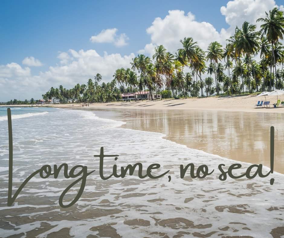 With #travel restrictions lifting, now is the perfect time to get away! We can help 🌴🥥
 bernardinitravel.com 
🌴🥥 #bernardinitravel  #beach #spa #mexico #Caribbean  #allinculsive  #DestinationWedding #Honeymoon #beachwedding #Jamaica #golf #scubadiving #TravelingWithKids