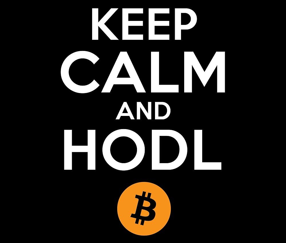 Bitwux's tweet photo. 9/ 但是上涨的逻辑在这里是无法更改的，就像我一直说的一句话，既然如此，何必在乎牛熊，何必在乎这一时的下跌。Hodl住BTC，可能是你这一辈子最有意义的事情。仅此而已！ https://t.co/qc9xrLHFCc