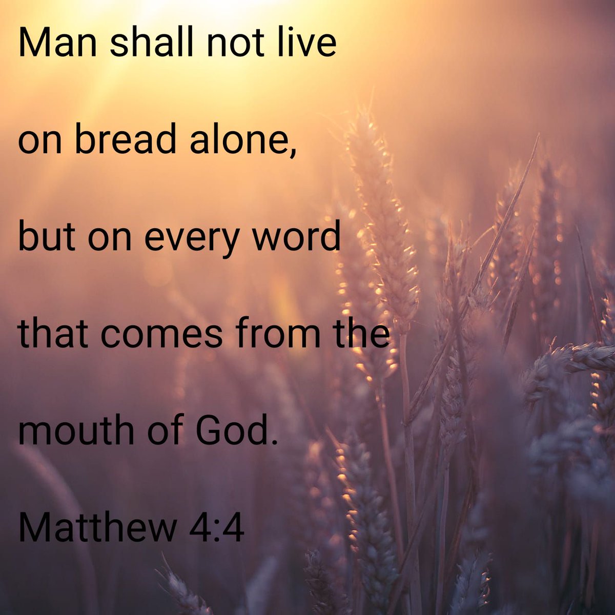 Vets4Worship's tweet photo. BIBLE UPDATE BRIEF (BUB) &amp; WORD OF THE DAY
Jesus answered, “It is written: ‘Man shall not live on bread alone, but on every word that comes from the mouth of God.’” Matthew 4:4 NIV

#huMANS #lesscarbs #moreword #moreGod  

https://t.co/fPmtW43Zvh
#VETERANS #MILITARY https://t.co/0CGkqJQfcn
