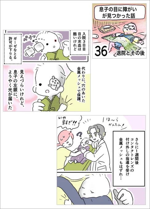 長くなりましたが、このシリーズはこれで完結です。

息子の目に障がいが…36  (1/2)
#先天性白内障 #弱視  #漫画が読めるハッシュタグ 