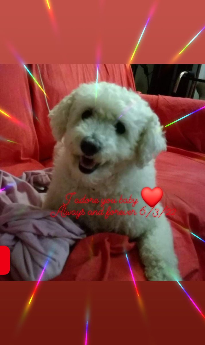 Rosemary🌹 tweet media