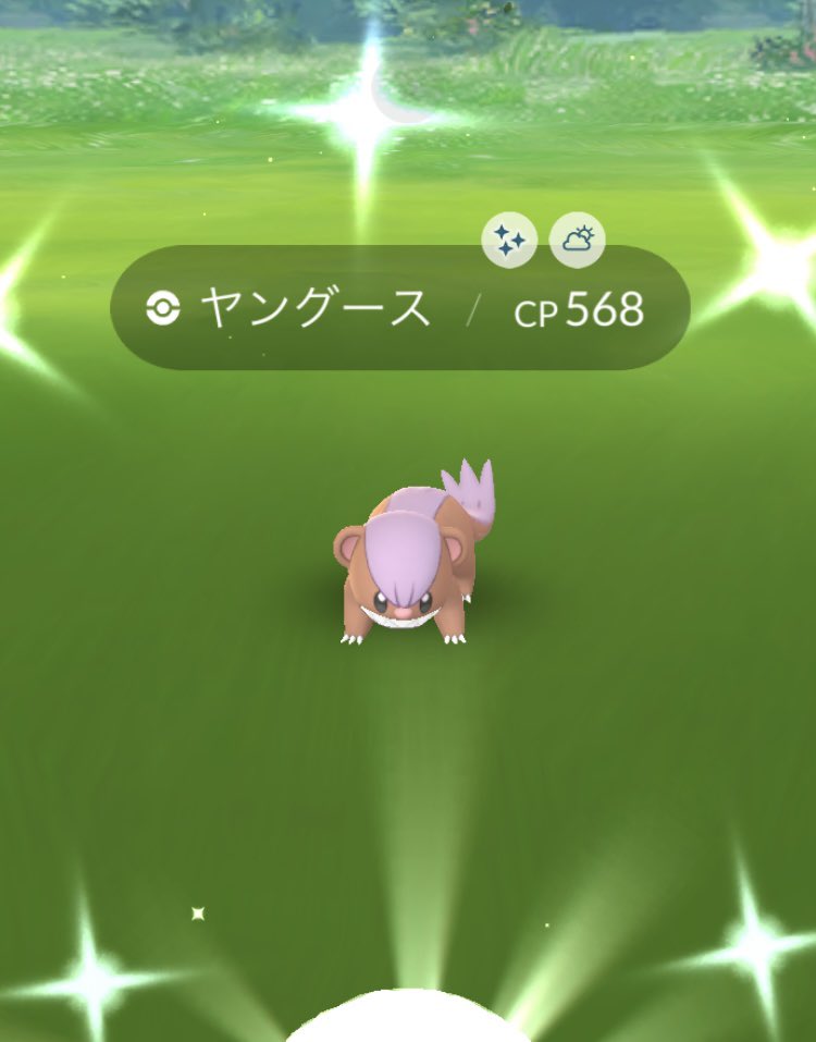 色違いノズパス Twitter Search Twitter