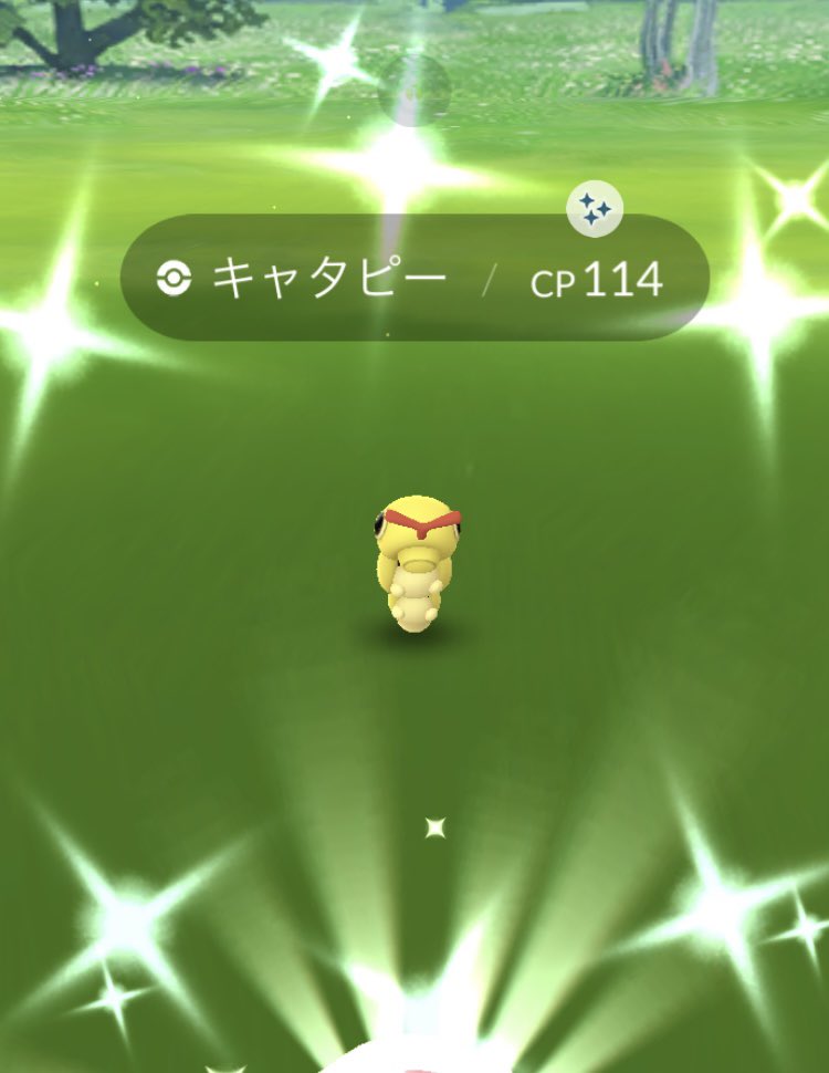 色違いノズパス Twitter Search Twitter