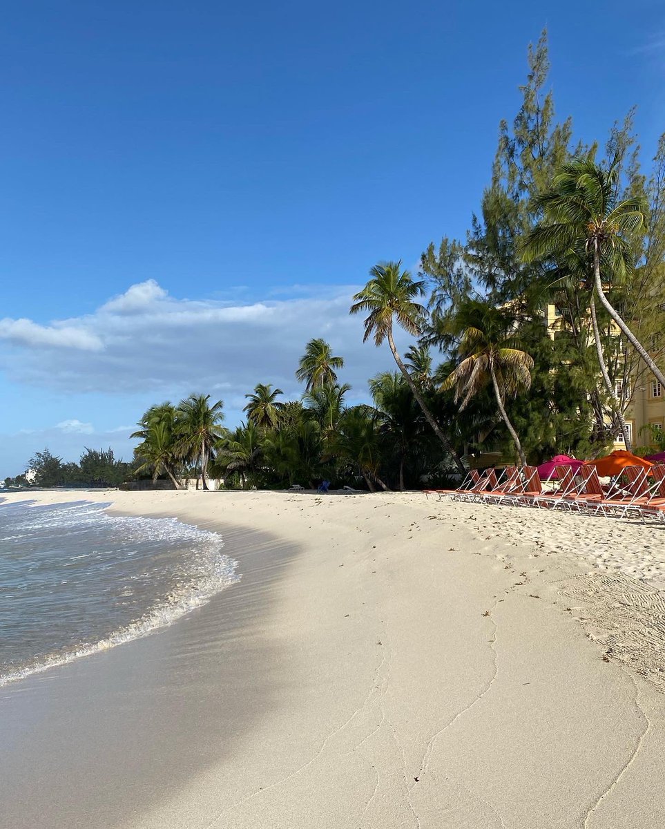 holstervegas's tweet photo. Today is already perfect and it’s only 8.30am #O2beachclub #barbados ❤️ https://t.co/dDkIXoLBj3