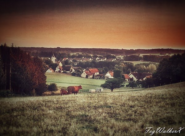WoodWalkerX's tweet photo. The Village #6
from FogWalkerX Photography Collection 📸

Captured in Bavaria 

🔥Price: 0.08 $ETH 🔥

Check it out @opensea 

https://t.co/zOE0O7ufck

#nft #nftart #nftphotography #nftartist #NFTCommunity #NFTCollection #nftcollectors https://t.co/QA1OxDVFDn