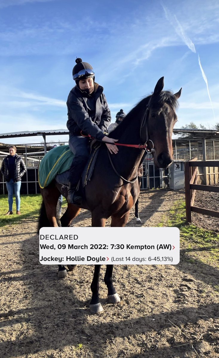 RubyRed_Racing's tweet photo. Shorts On declared for @kemptonparkrace on Wednesday with @HollieDoyle1 booked to ride. Good luck to our owners. #RubyRedRacing https://t.co/ENSR0W5U8S