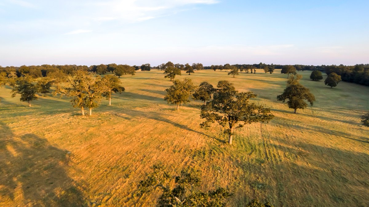 txranchsalesllc's tweet photo. 𝐃𝐨𝐠𝐰𝐨𝐨𝐝 𝐑𝐚𝐧𝐜𝐡 is named for a flowering tree commonly found on the ranch which produces a highly fragrant scent when in bloom. The property is located in Burleson County just outside of Caldwell, Texas and consist of 1,400± acres. ⇢ https://t.co/RSzRh0DPNp
#forsalenow https://t.co/K2HoePE0rI