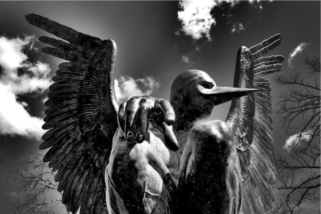 DixPark's tweet photo. Congratulations to the #WingsOfRAL Instagram Photo Contest winners! 

1st Place: the_chillosophy
2nd Place: alifer24
3rd Place: bethnevarezhistory

Thank you to everyone who shared (and continues to share) beautiful &amp; unique photos of the Wings of the City statues in #DixPark. https://t.co/wFkUTJn1Ym