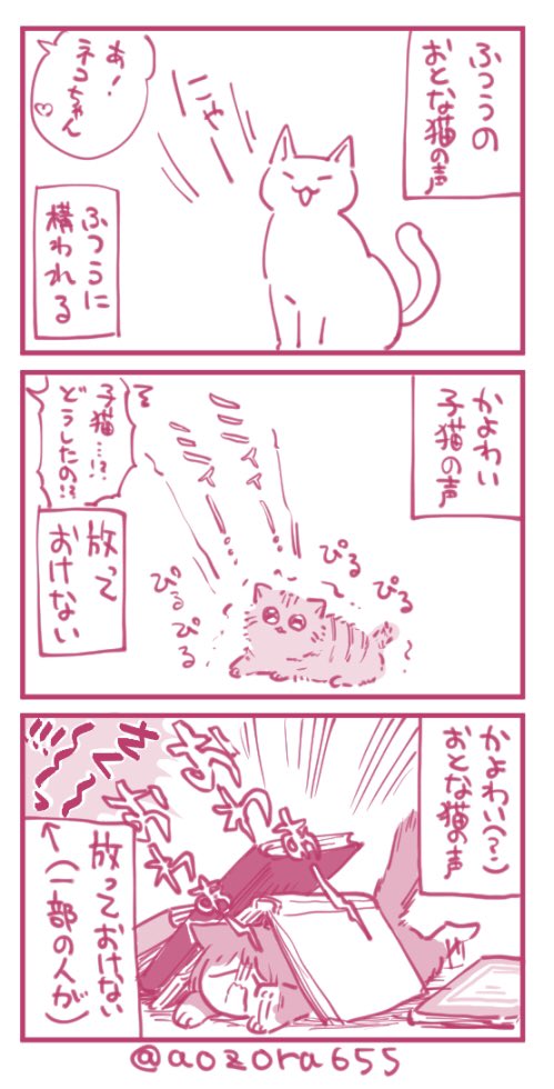 おわあ猫 