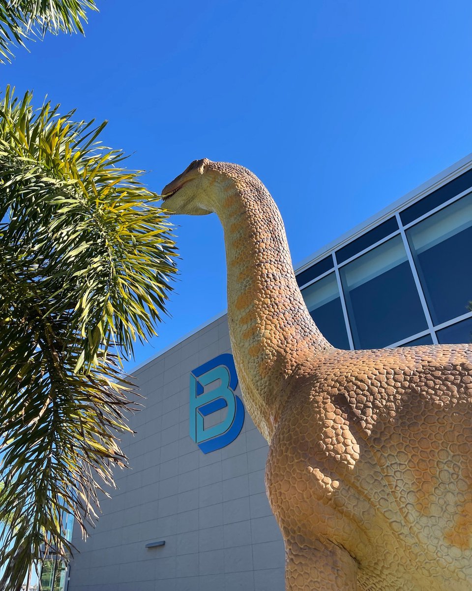 flamuseums's tweet photo. Have you visited The Bishop's Dino Don's DinoVenture yet? Don't wait! The dinos go extinct on March 20, 2022. 😉
📸: @BishopScienceFL 🦕 https://t.co/AFbMoFOPgZ
#FloridaMuseums #BishopScienceFL #DinoVenture #BradentonArea https://t.co/6YnEOPJB4g
