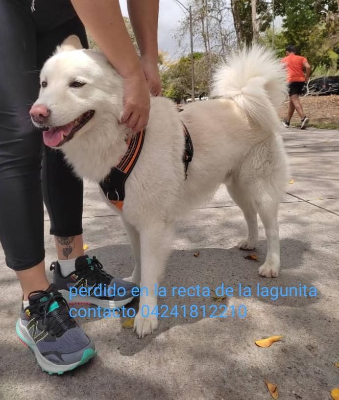 Tamarapazmi's tweet photo. Este chico fue hallado en la recta de lagunetica, da RT para que pueda encontrar a su familia https://t.co/GamTowClzq