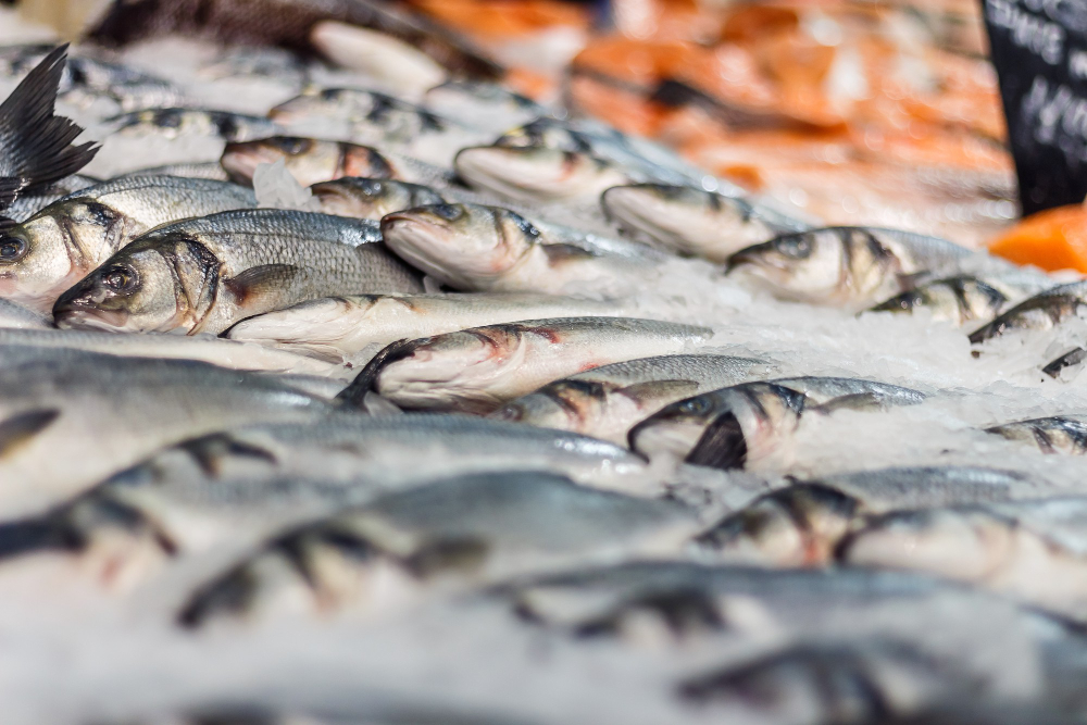 Visit Brixham tweet media