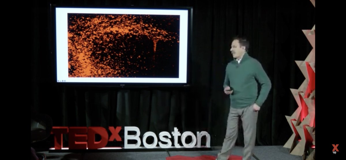 IrmaRaste ✨ InfluenceThroughStorytelling™ tweet media