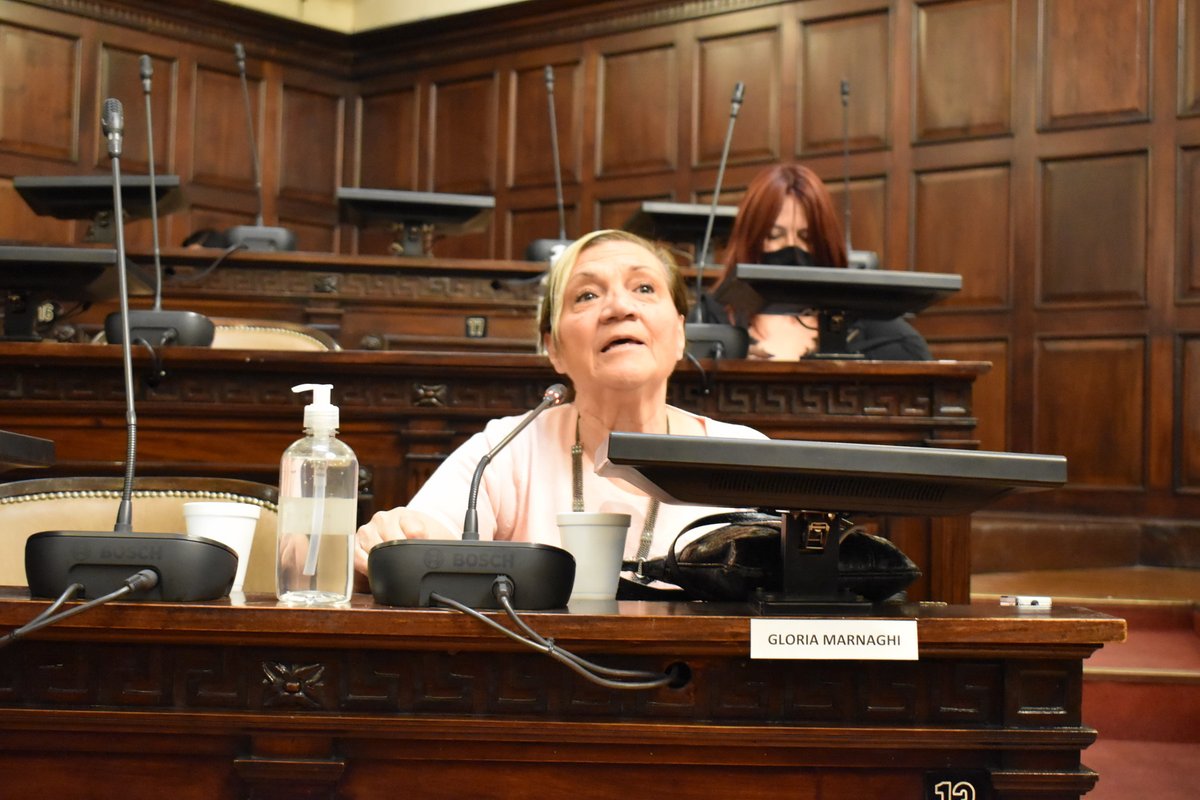 DiputadosMza's tweet photo. @lorenacepparo @NoeliaVillafae4 @MignaniMara @magnaghialba https://t.co/yr57MgGZ92