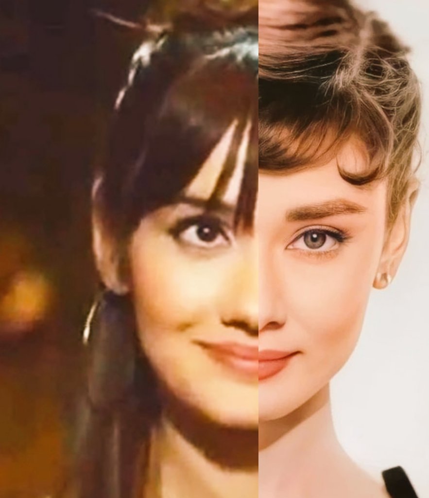 Pavlonya1's tweet photo. Gözler farklı yere baksada onların benzerliği yüzlerindeki,gözlerindeki o güzel ifade #Sevrey #SevdaErginci 💦🤍
#AudreyHepburn 💦🤍 https://t.co/A2duzraE73