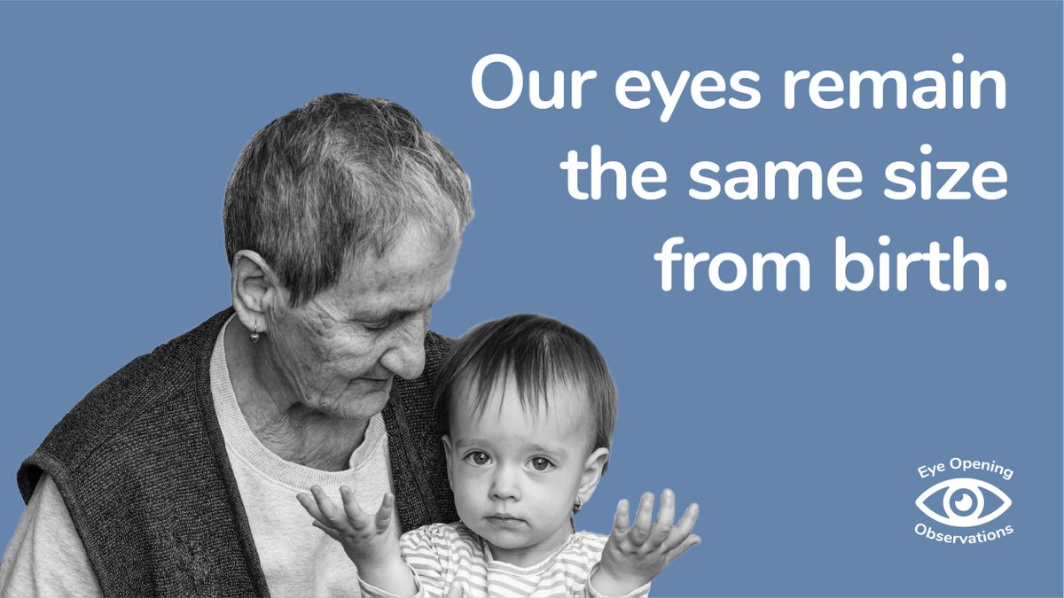 RestoringVision's tweet photo. Did you know babies' and adults’ eyes are the same size?
#sightfacts #givesight #donate #restoringvision https://t.co/teord7k79Y